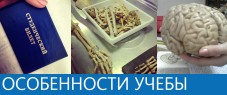 Особенности учебы Особенности учебы